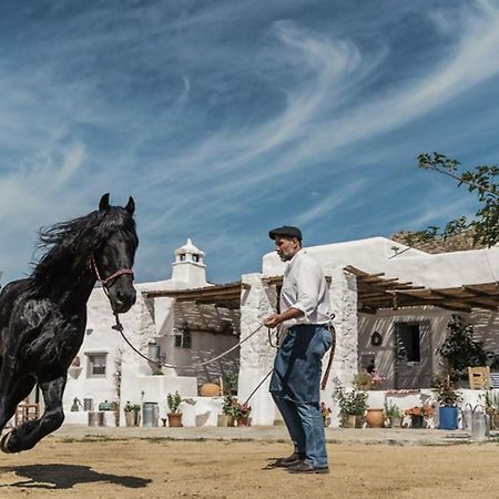 Rizes Mykonos - Folklore Farmstead Mykonos Town Eksteriør bilde